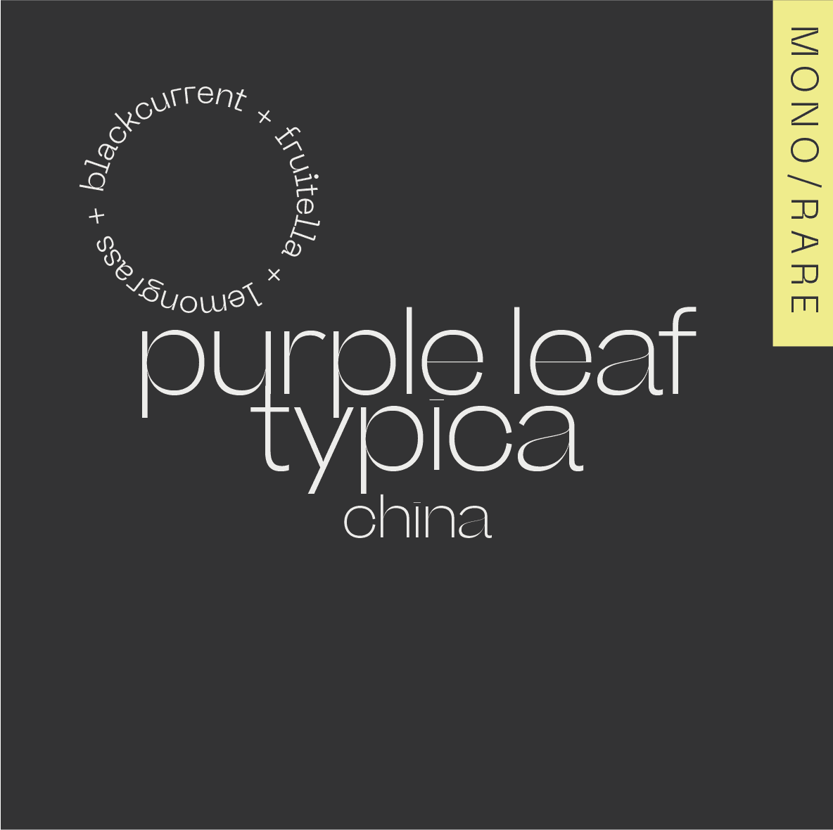 PURPLE LEAF TYPICA - Filter packshot