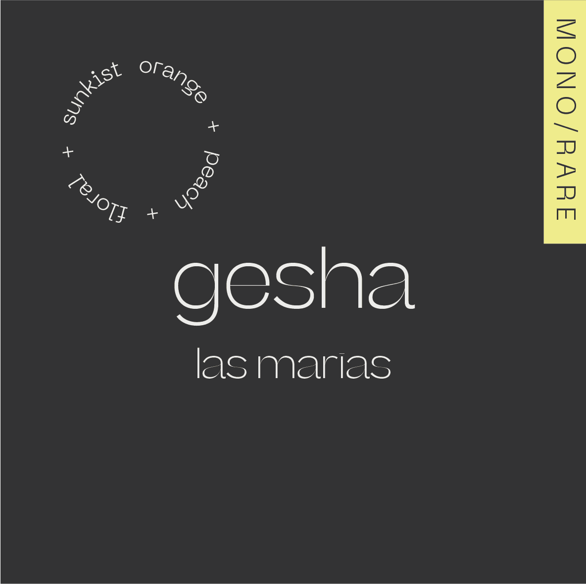 GESHA Colombia — Las Marias - Filter packshot