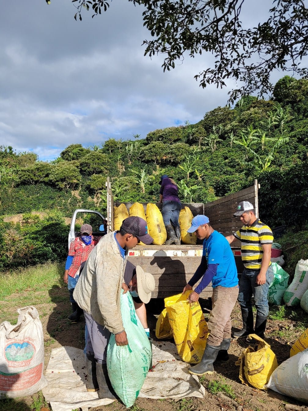 Costa Rica — Dota packshot