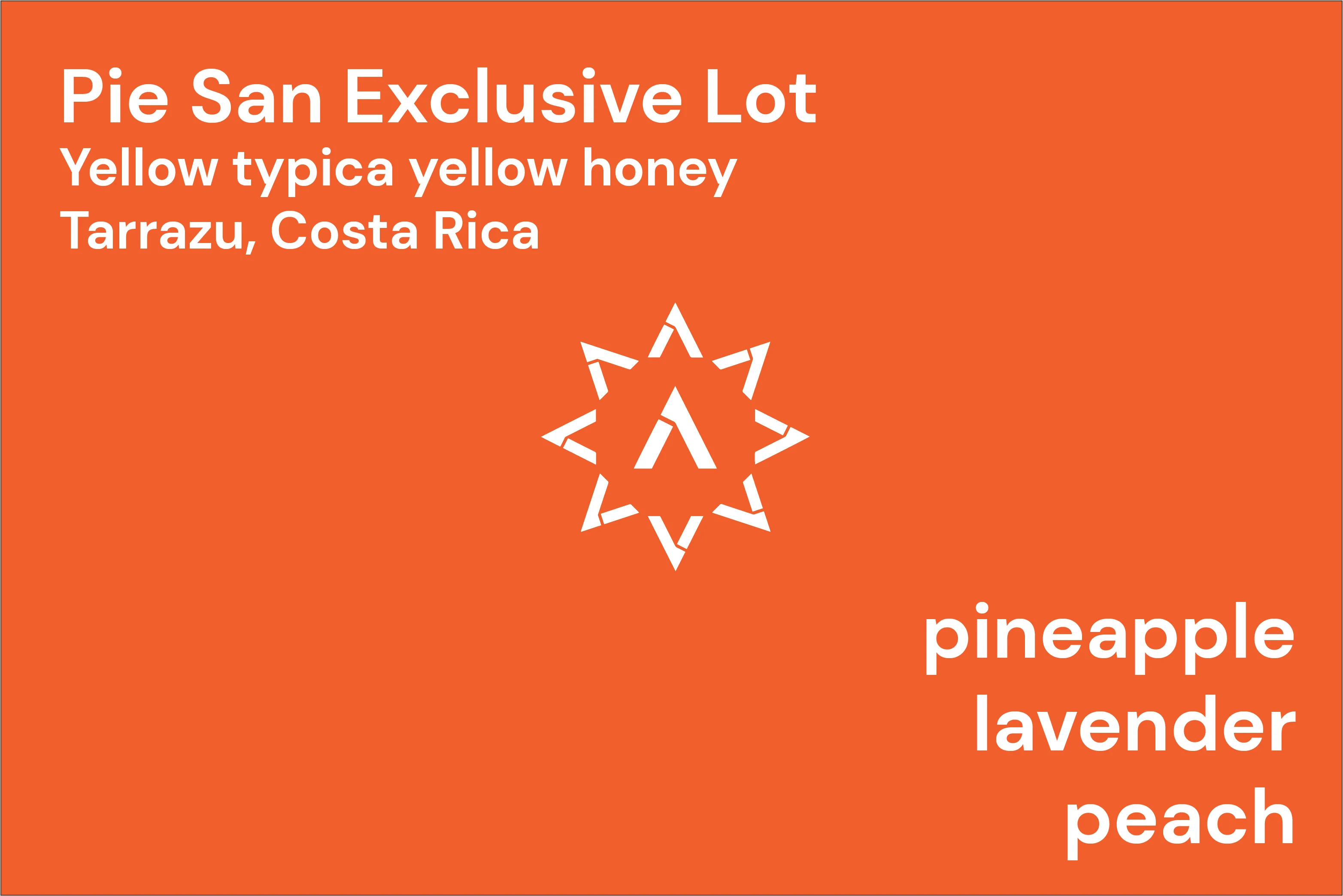 Pie San Exclusive lot packshot