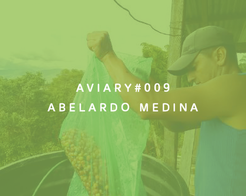 Abelardo Medina