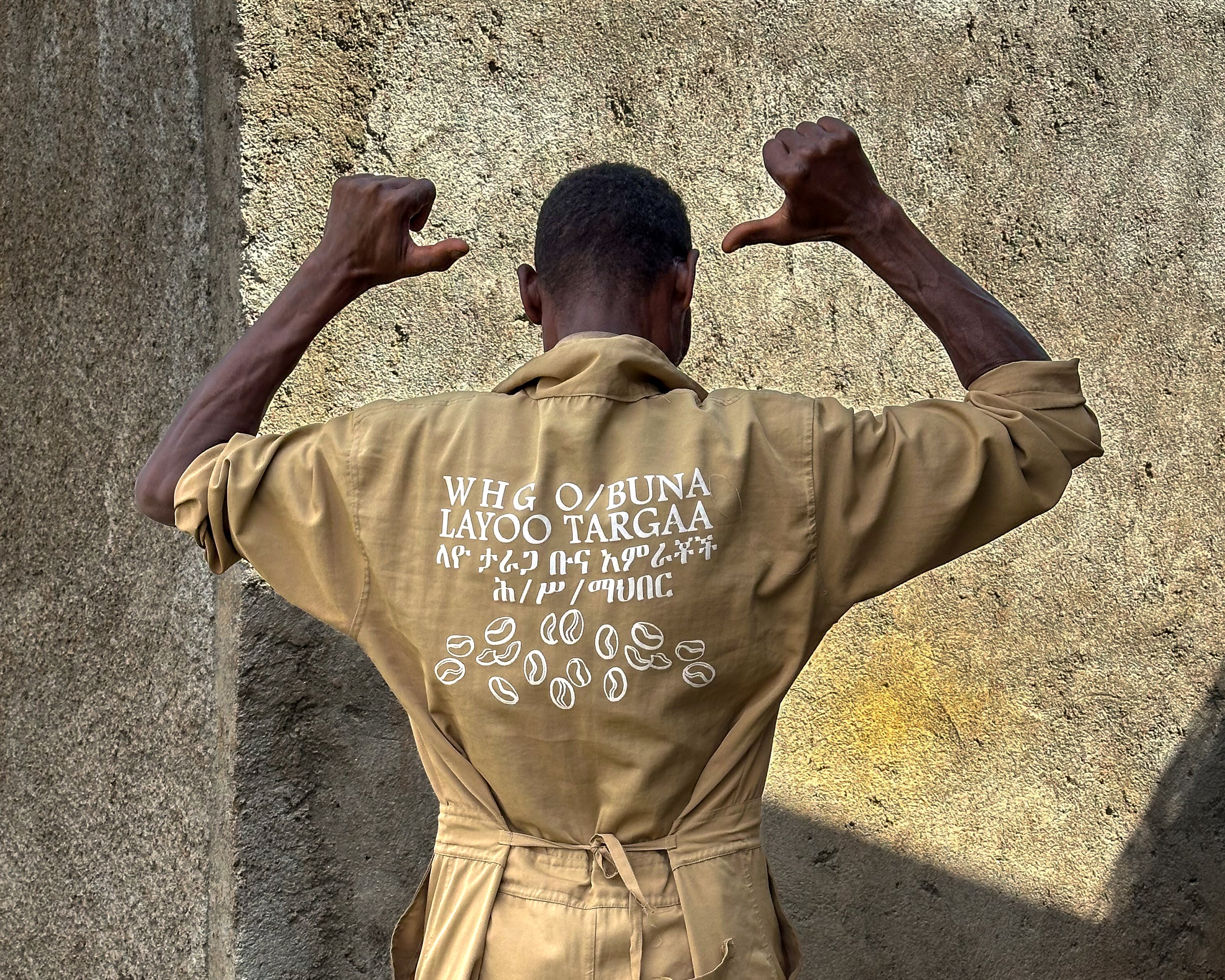 015 - Layo Teraga packshot