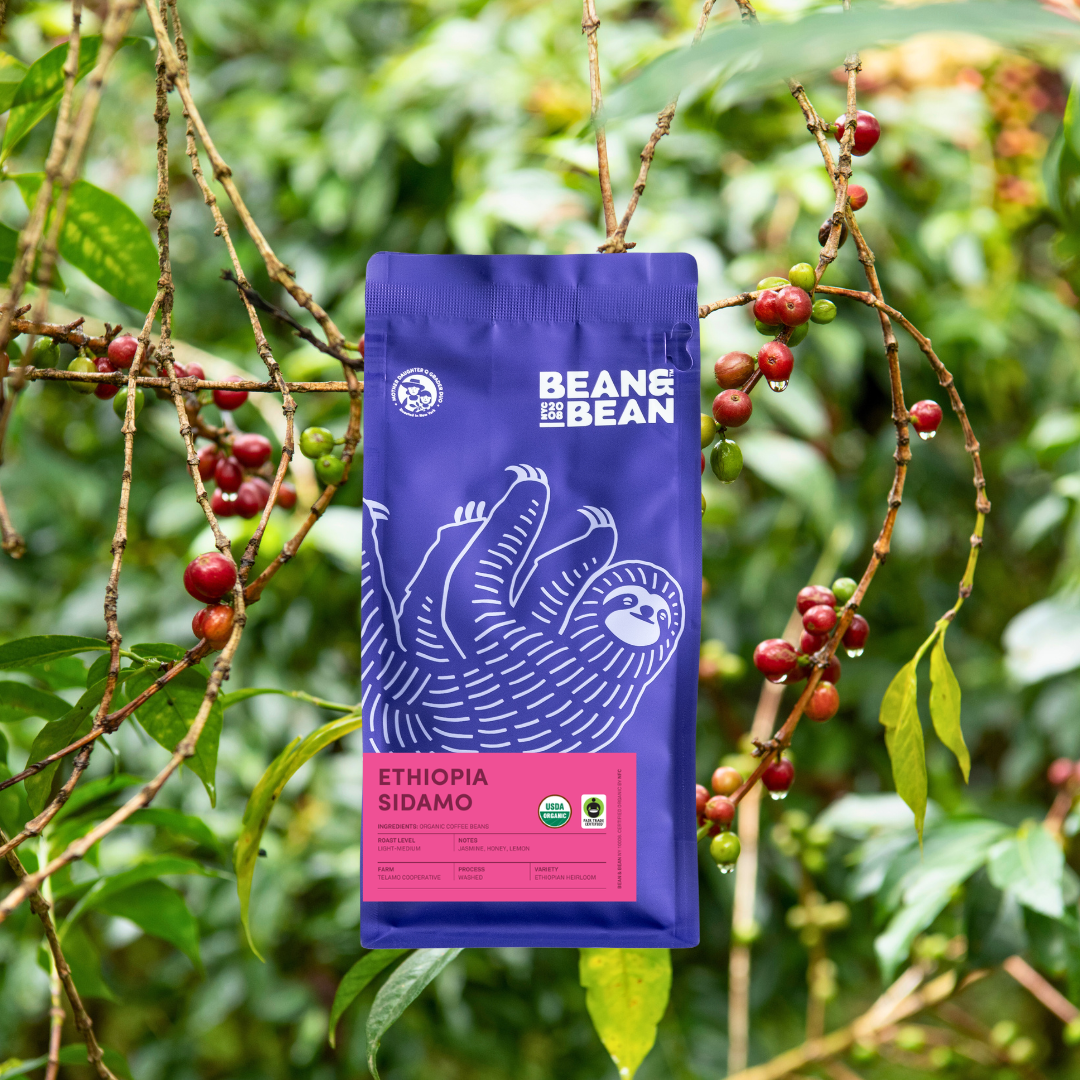 Ethiopia Sidamo, Organic & Fair Trade packshot