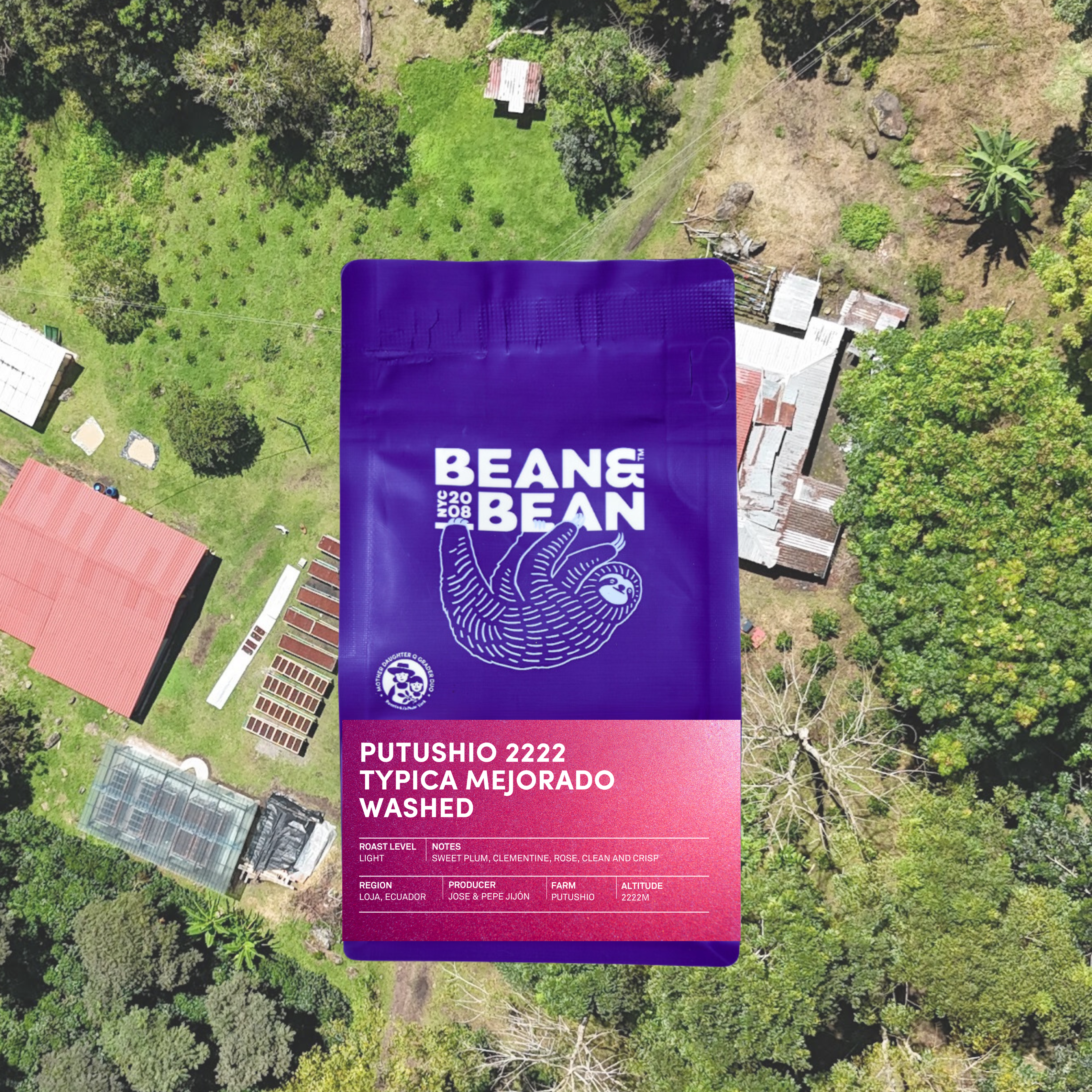 Ecuador Putushio Typica Mejorado Washed packshot