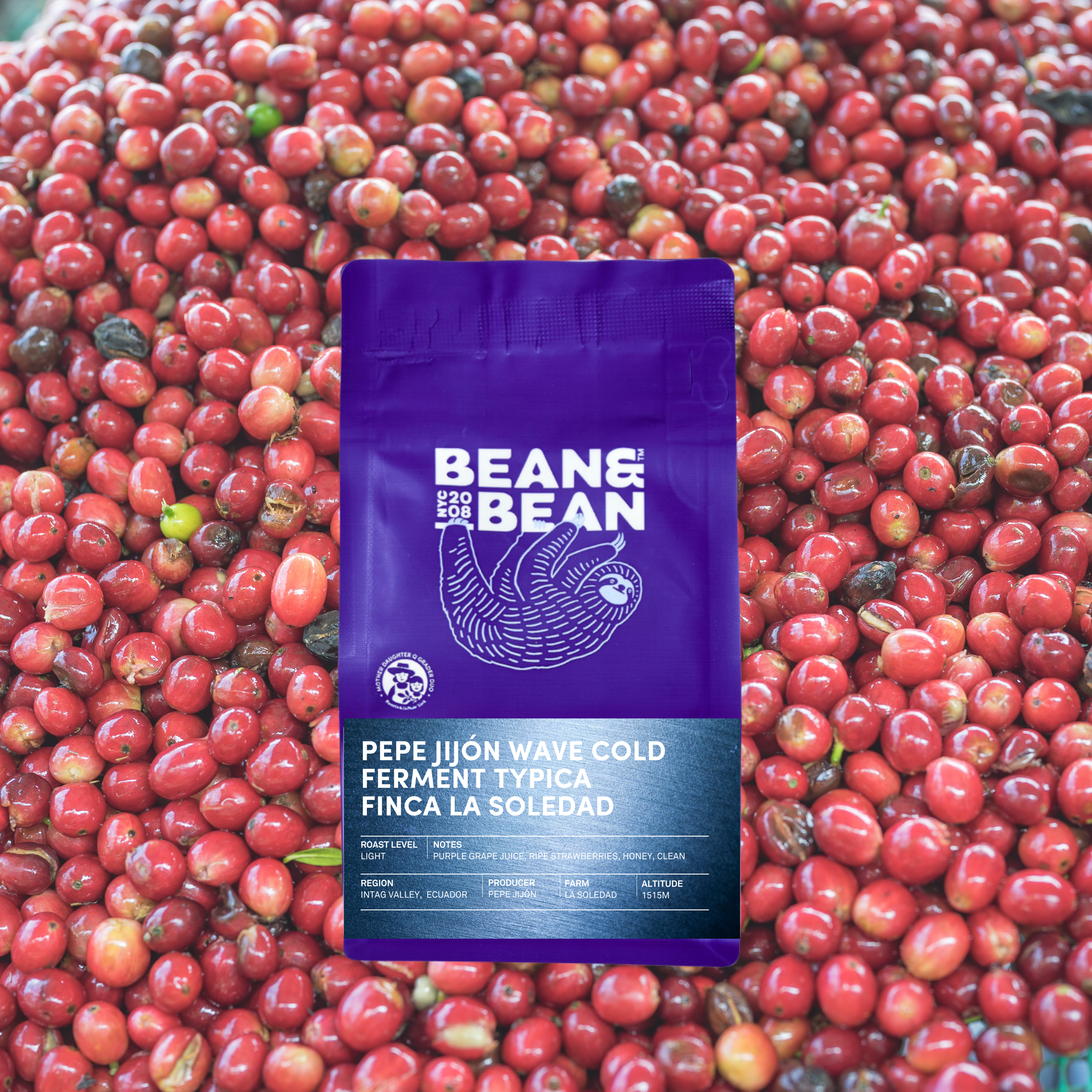 Ecuador La Soledad Pepe Jijon Wave Cold Ferment Typica Mejorado packshot