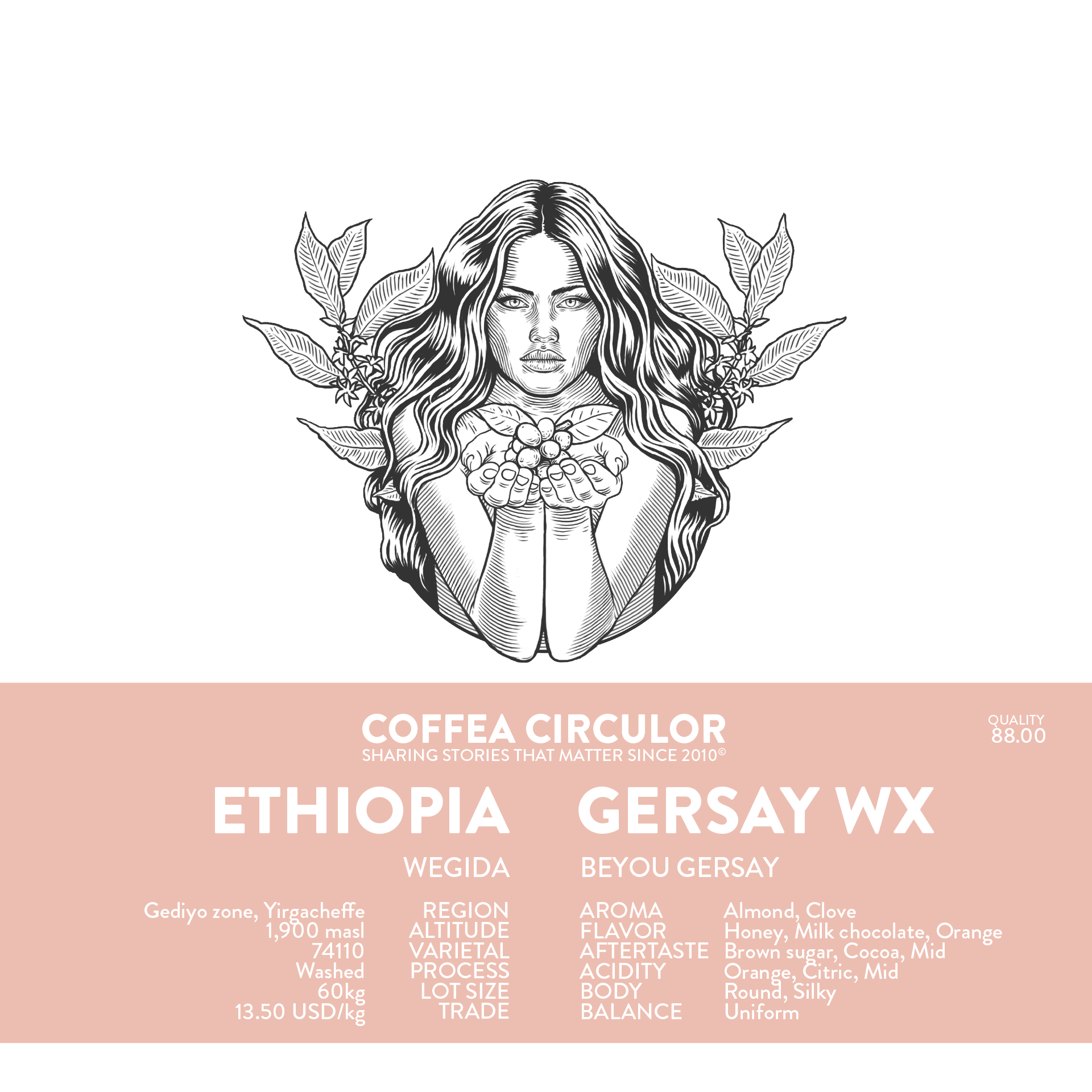 ETHIOPIA Ethiopia Gersay WX (Espresso) packshot