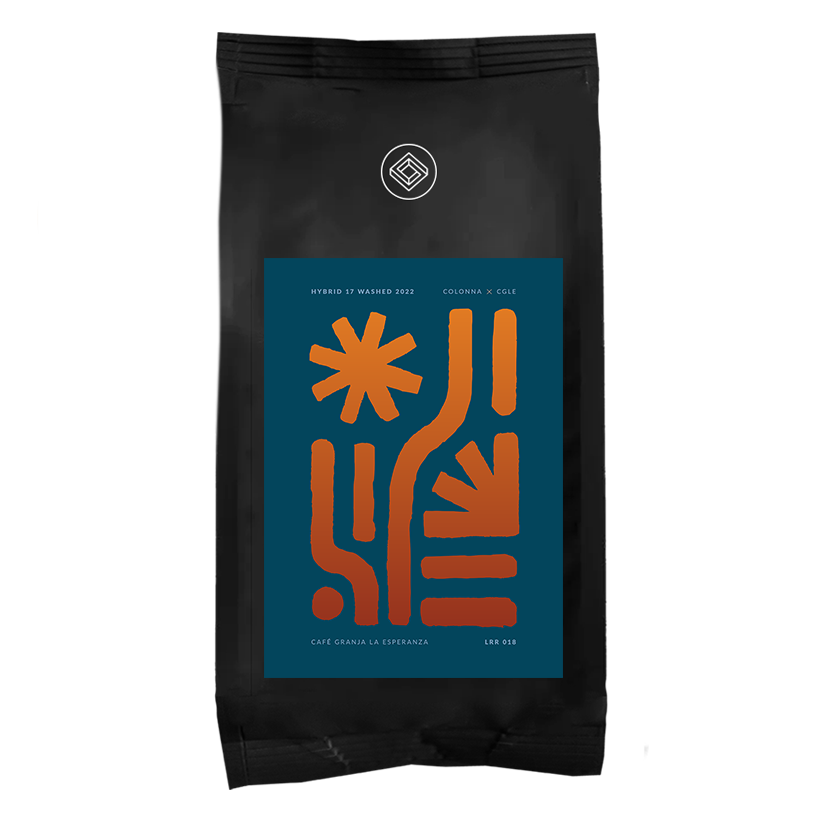 CGLE Hybrid 17 Washed '22 - Filter packshot