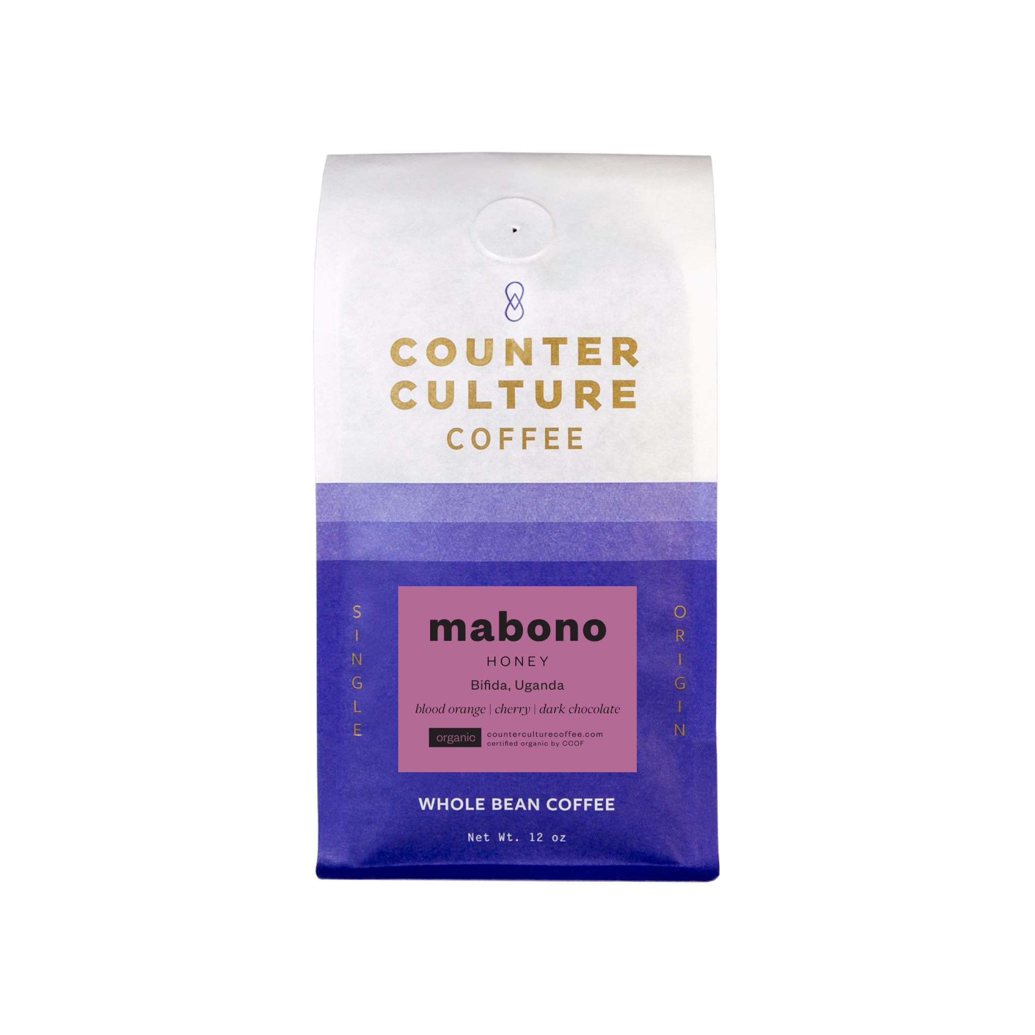 Fast Forward packshot