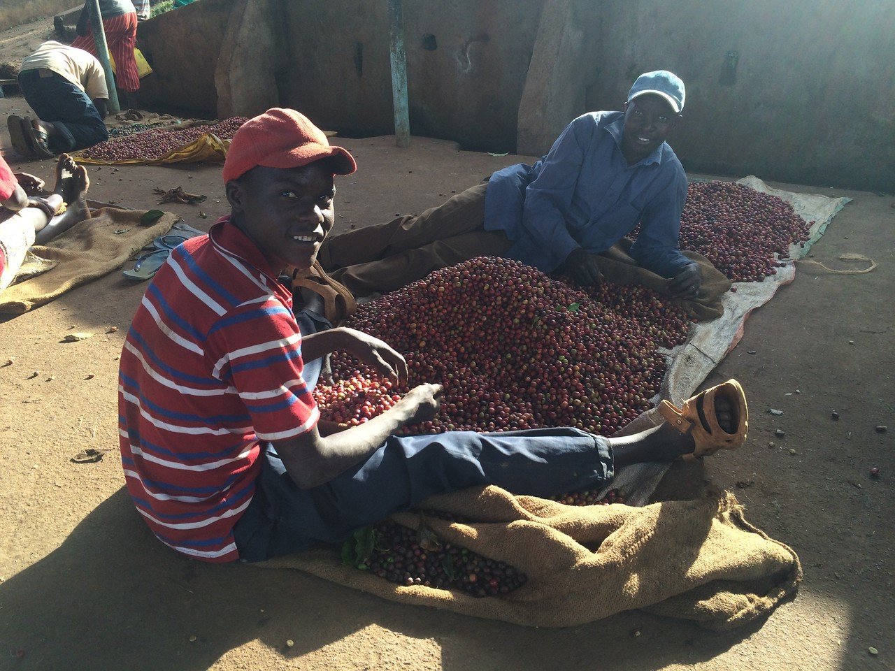 Kenya - AB Baragwi Thimu #034