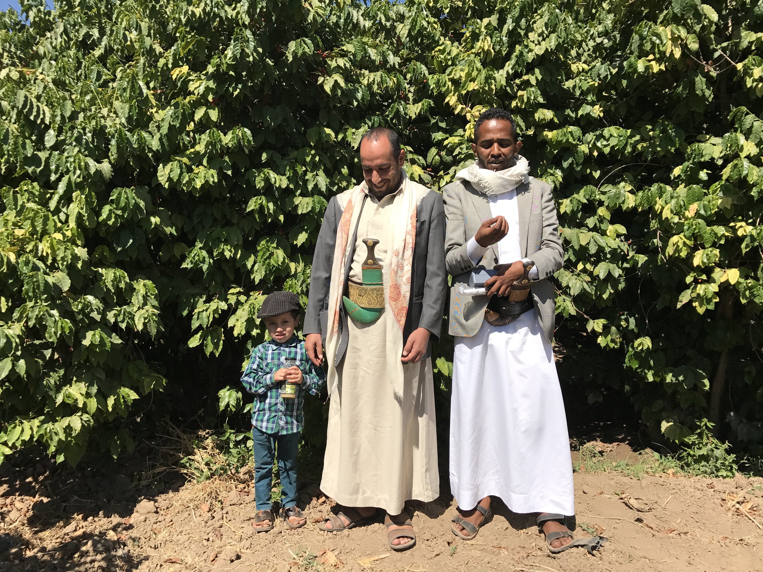 Yemen - Abdullah Al-Habari & Brothers packshot