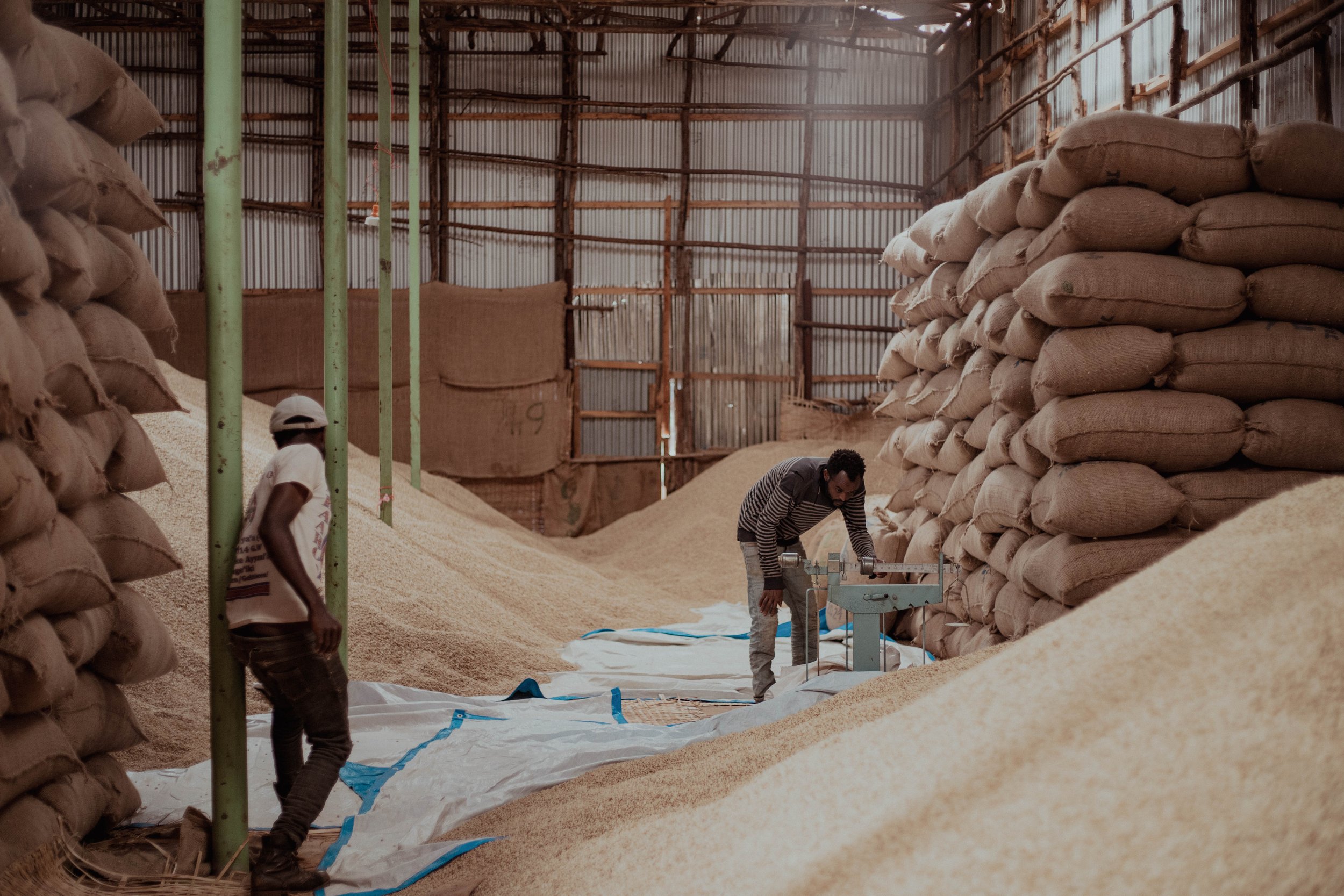 Ethiopia - Bishan Wate Washing Station