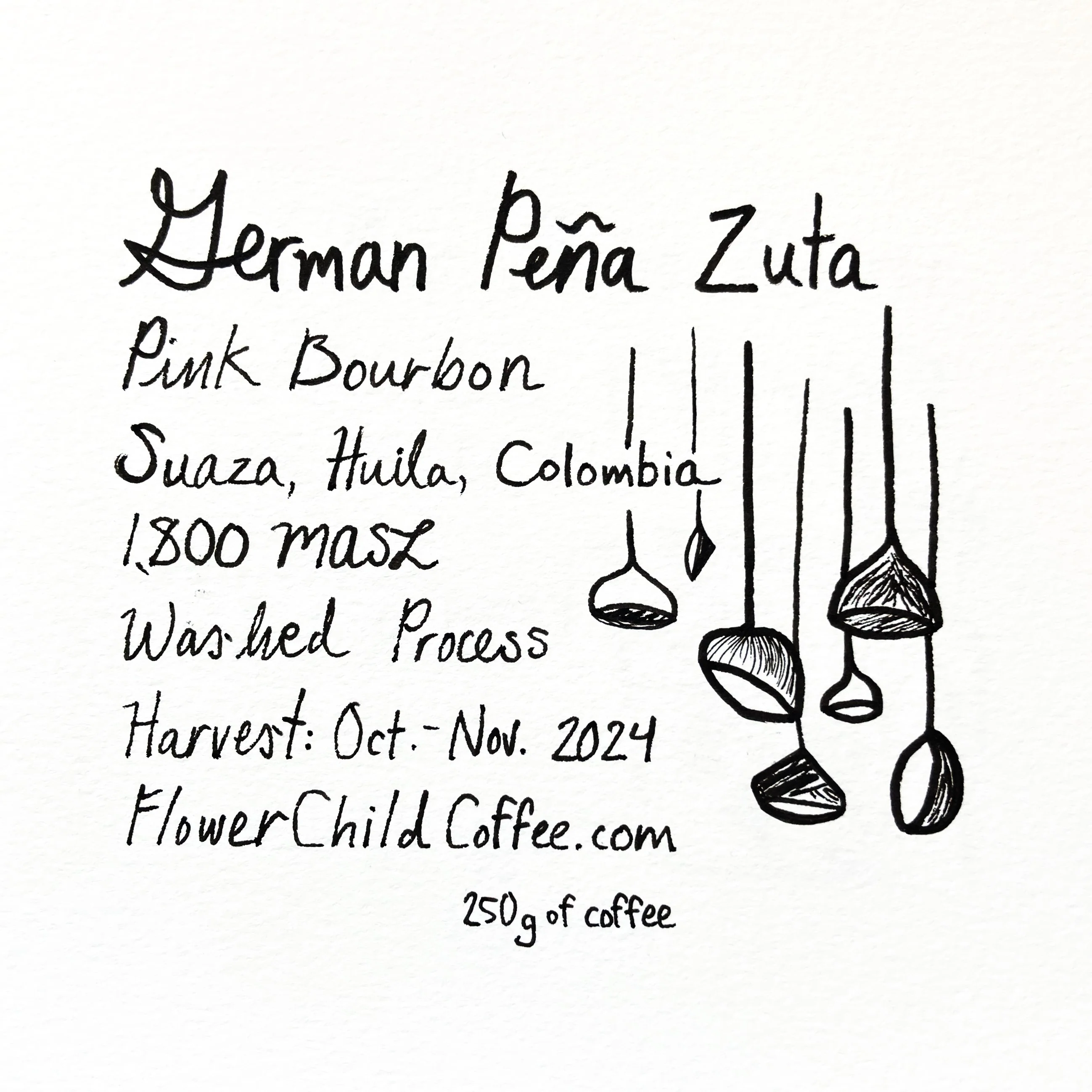 German Peña packshot