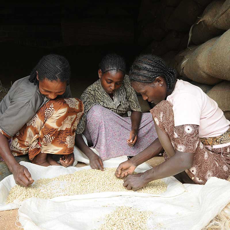 Etiopien Guji Organic packshot