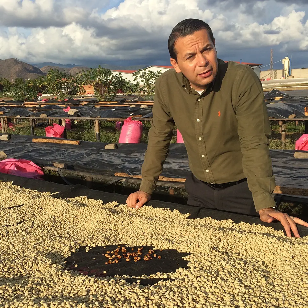 Nicaragua Balladares Maracaturra packshot