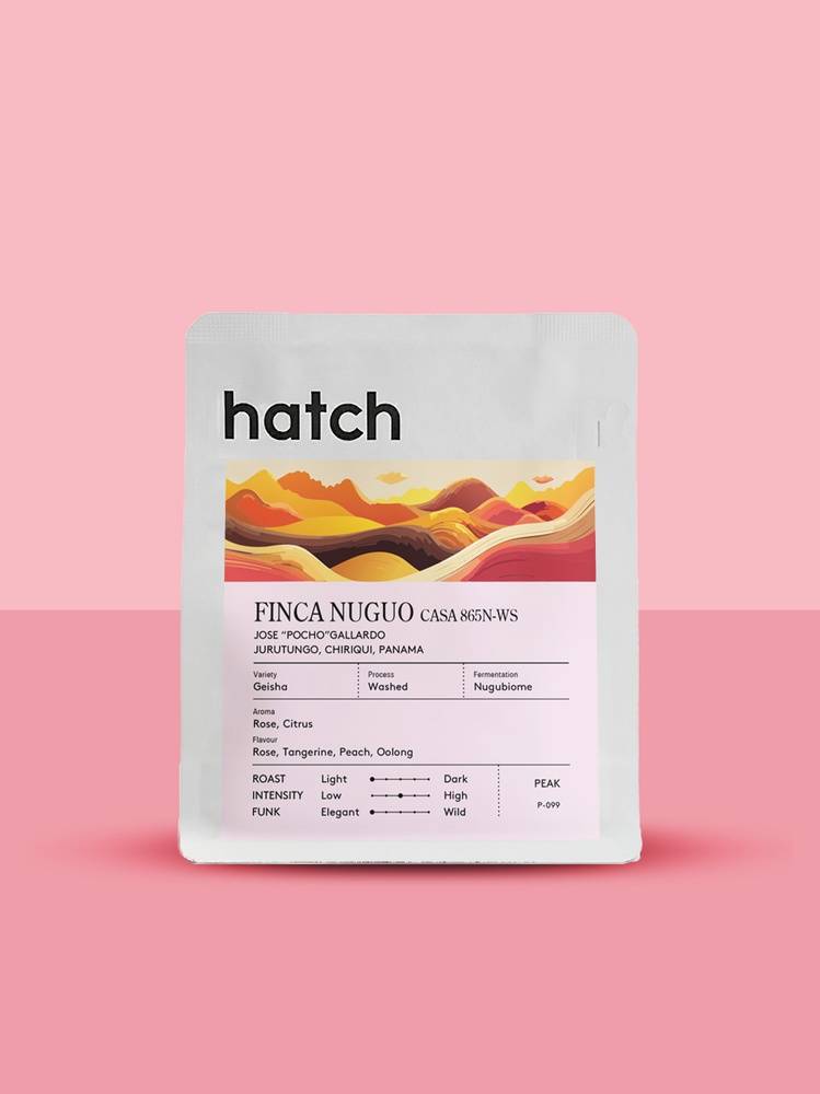 Finca Nuguo 865 Washed packshot