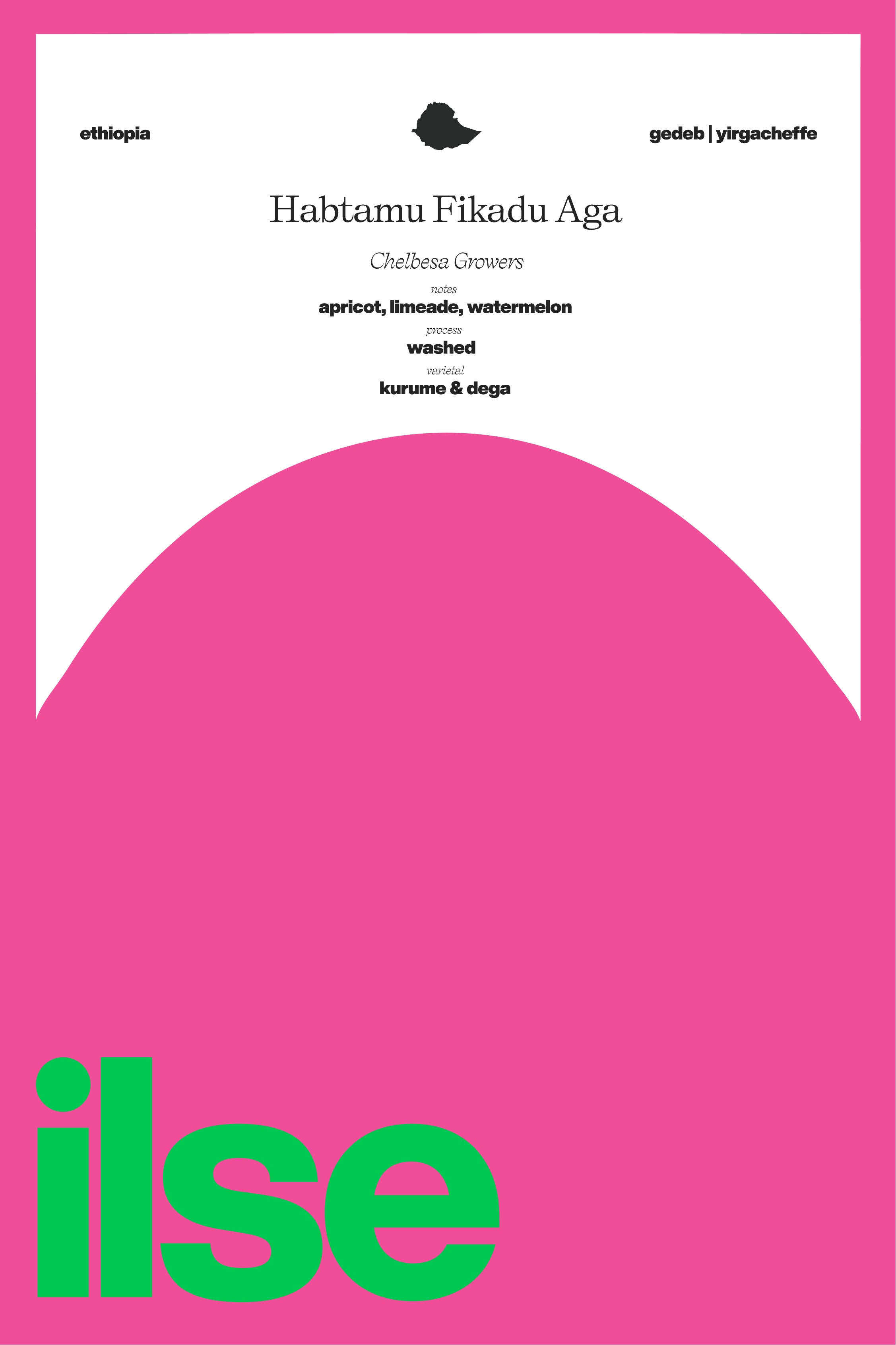 Ethiopia | Habtamu Fikadu Aga - Chelbesa packshot