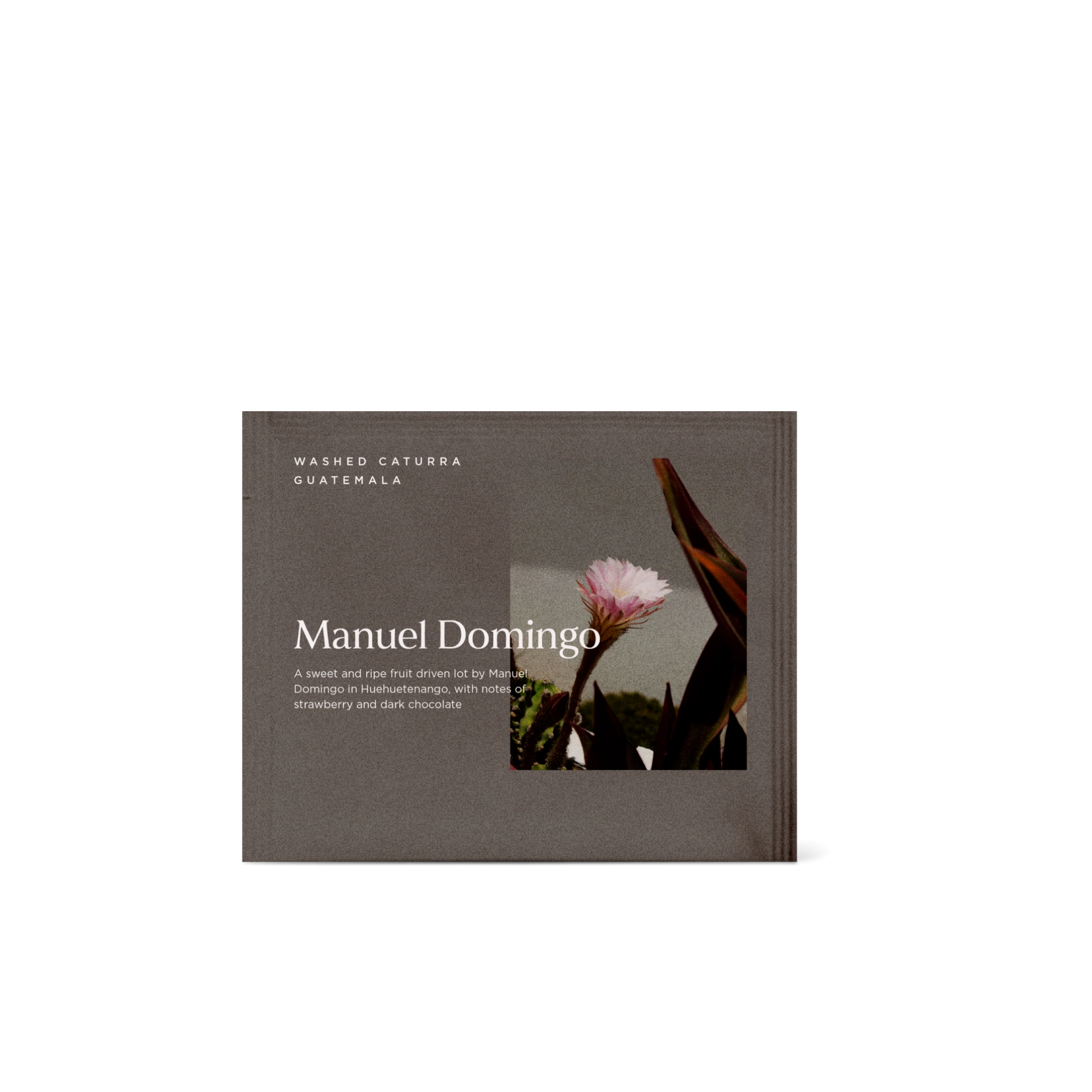 Manuel Domingo - Steeped packshot