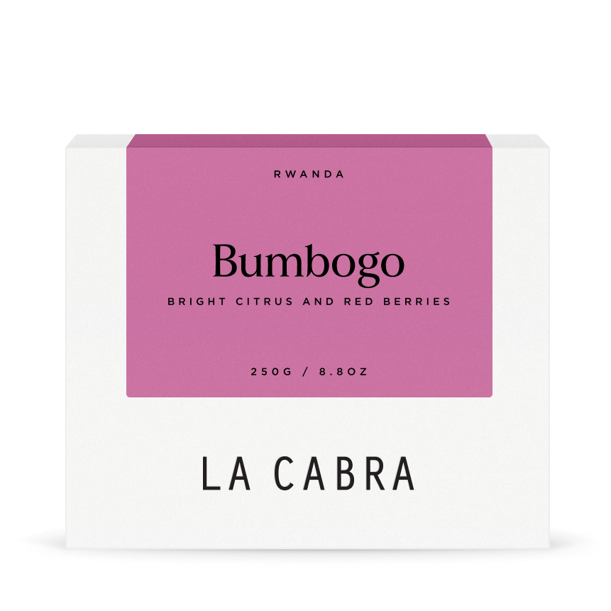 Bumbogo packshot