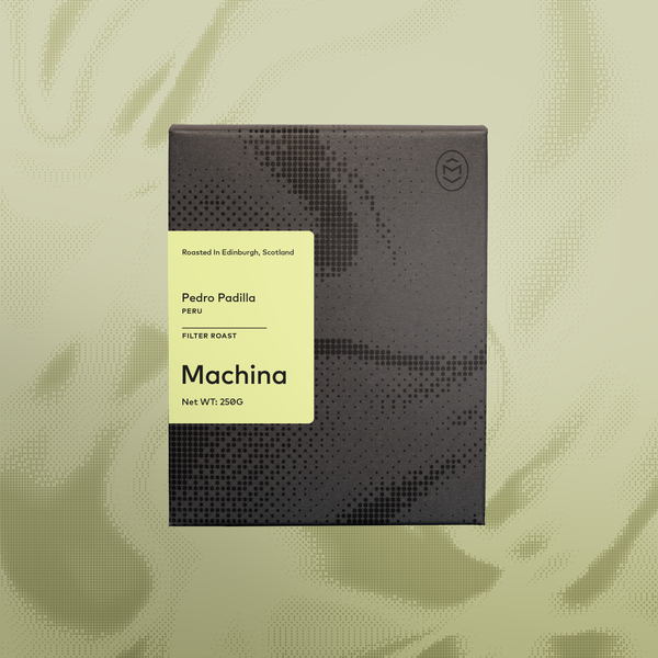 Pedro Padilla, Peru (Filter)