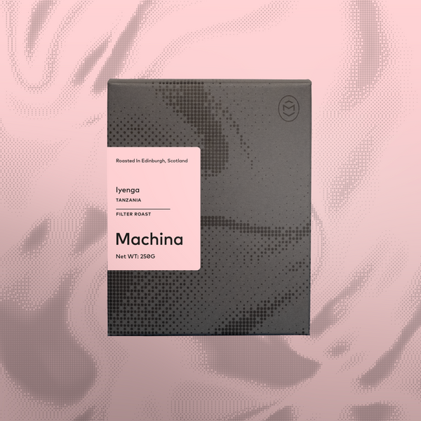 Iyenga, Tanzania - Filter