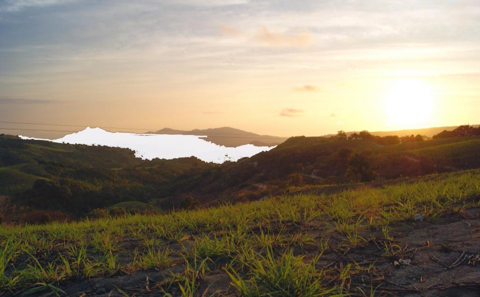 CAMEROON | OKU | DIRECT TRADE | DARK ROAST packshot