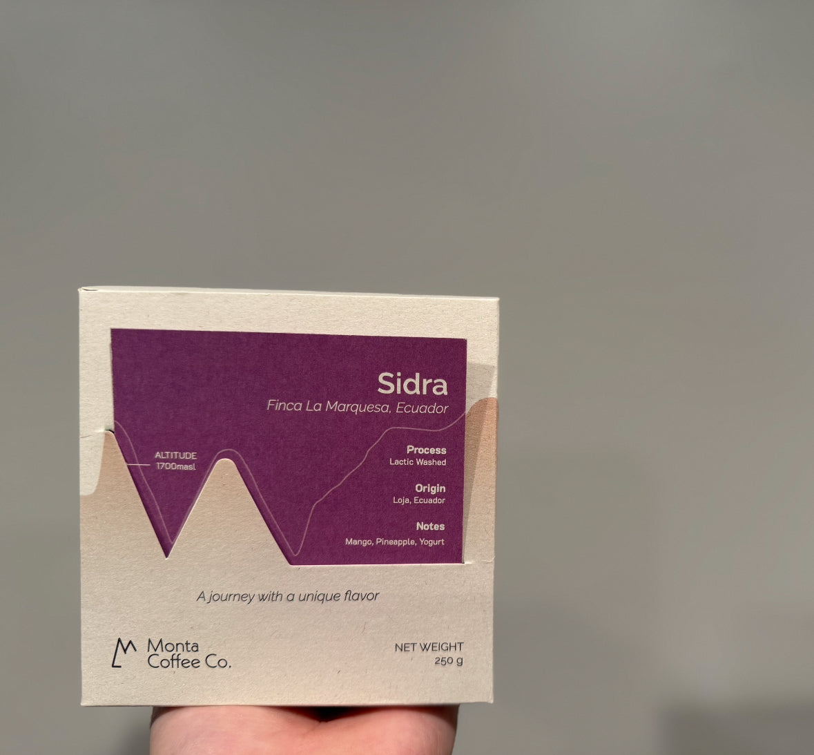 Monta x Xbloom Secret Stash - Ximena Leon - Filter