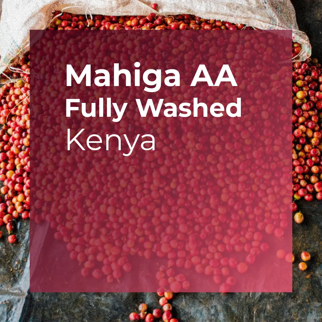 MAHIGA AA, Fully Washed packshot