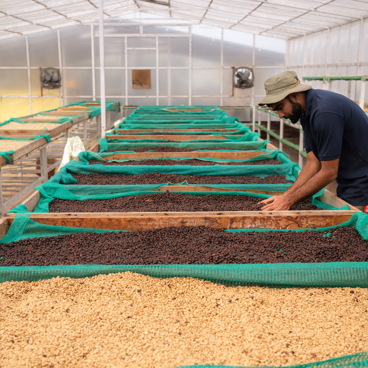 The Struggle packshot