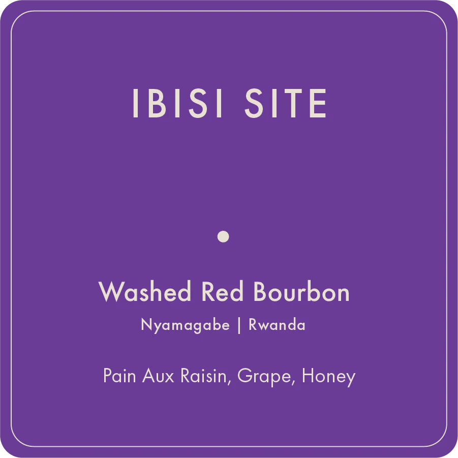 Ibisi Site packshot