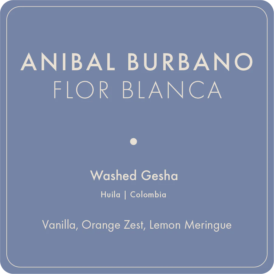Anibal Burbano "Flor Blanca" packshot