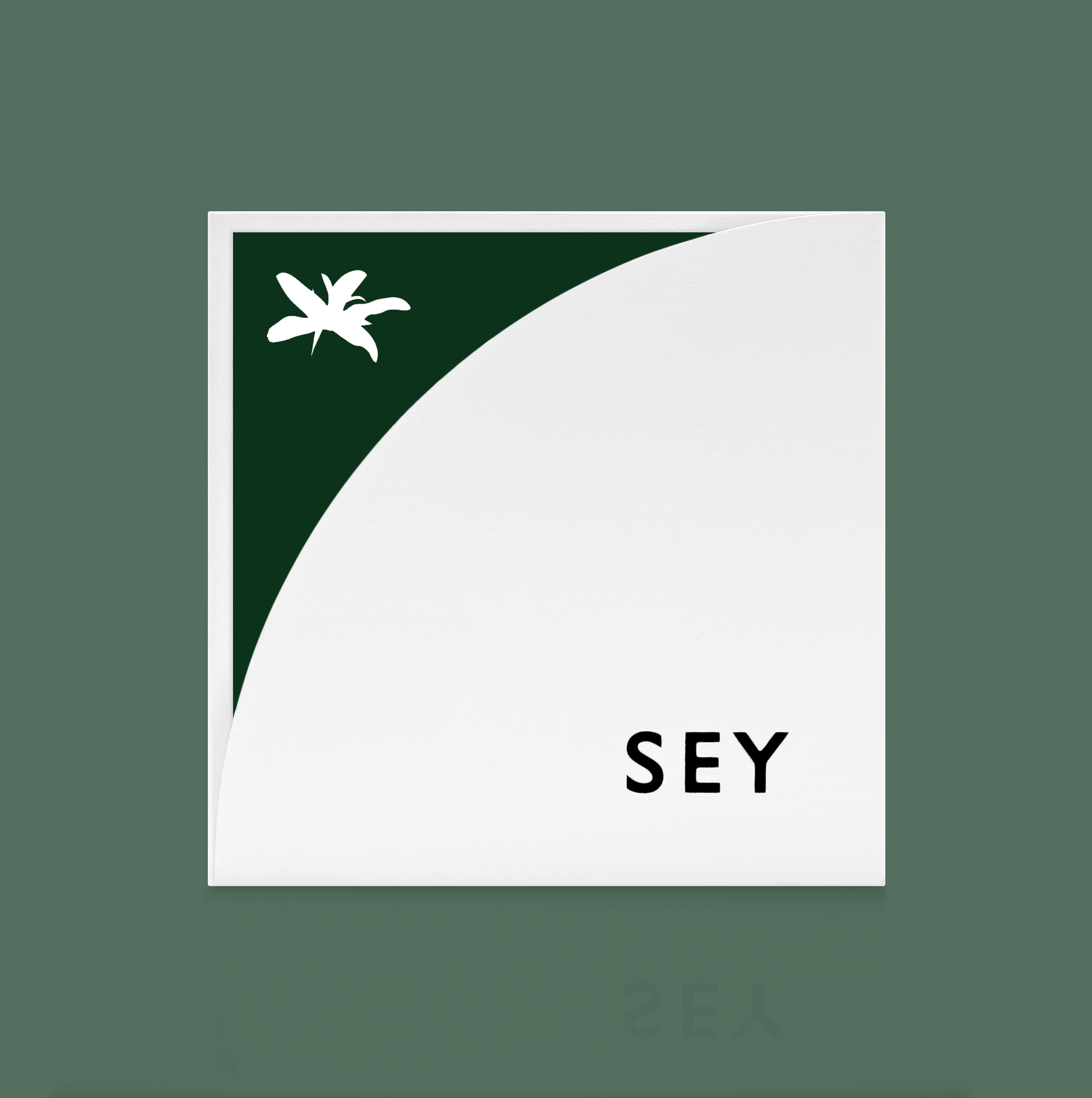 2020 Hacienda La Esmeralda; Coronado 41, Gesha, Washed packshot