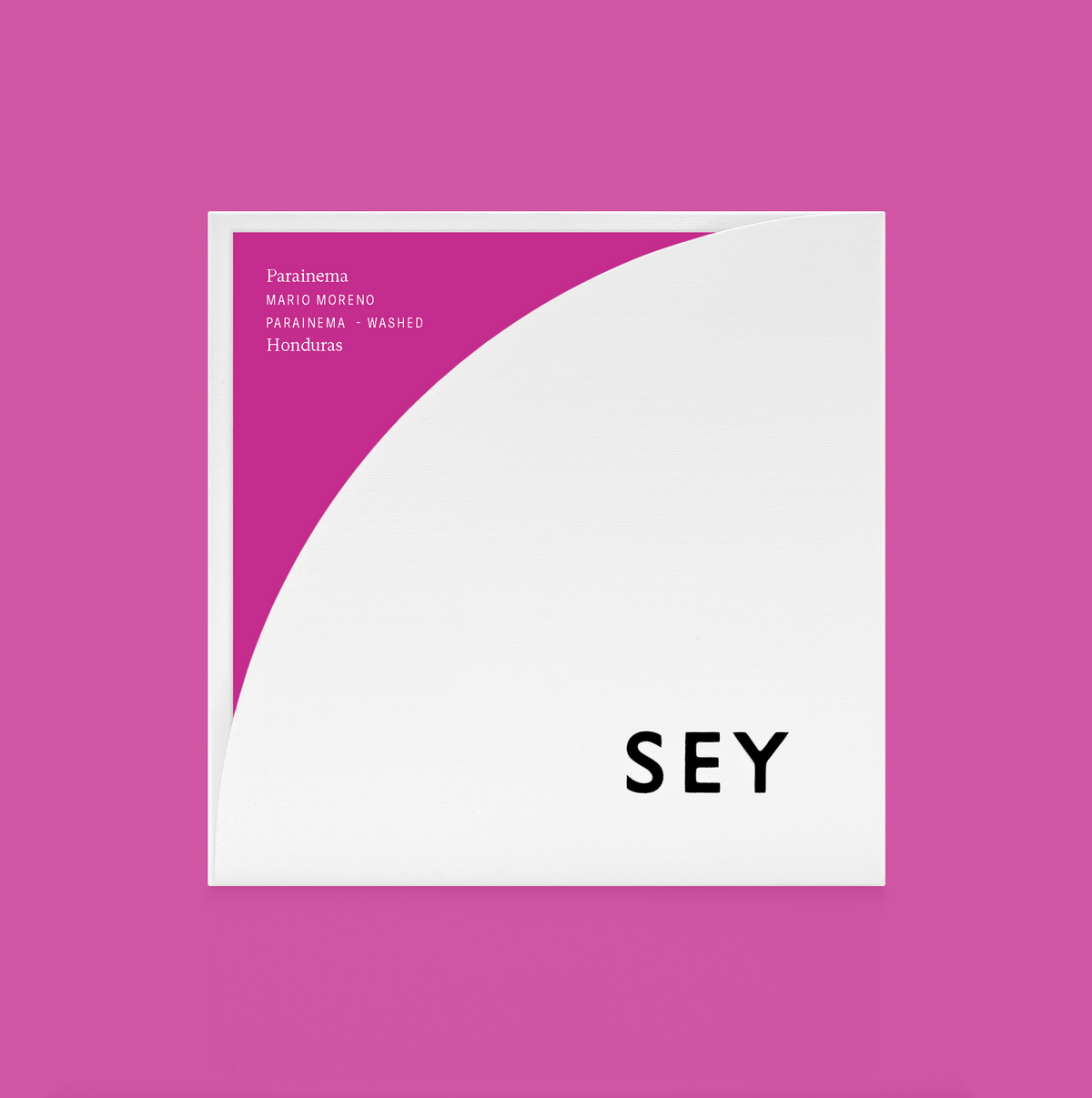 2019 Mario Moreno, Parainema