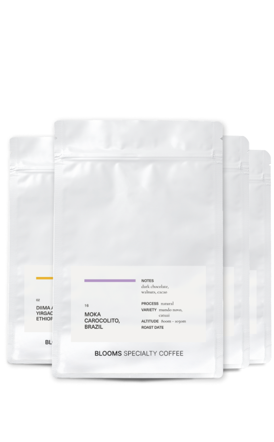 Blooms Introductory Package packshot