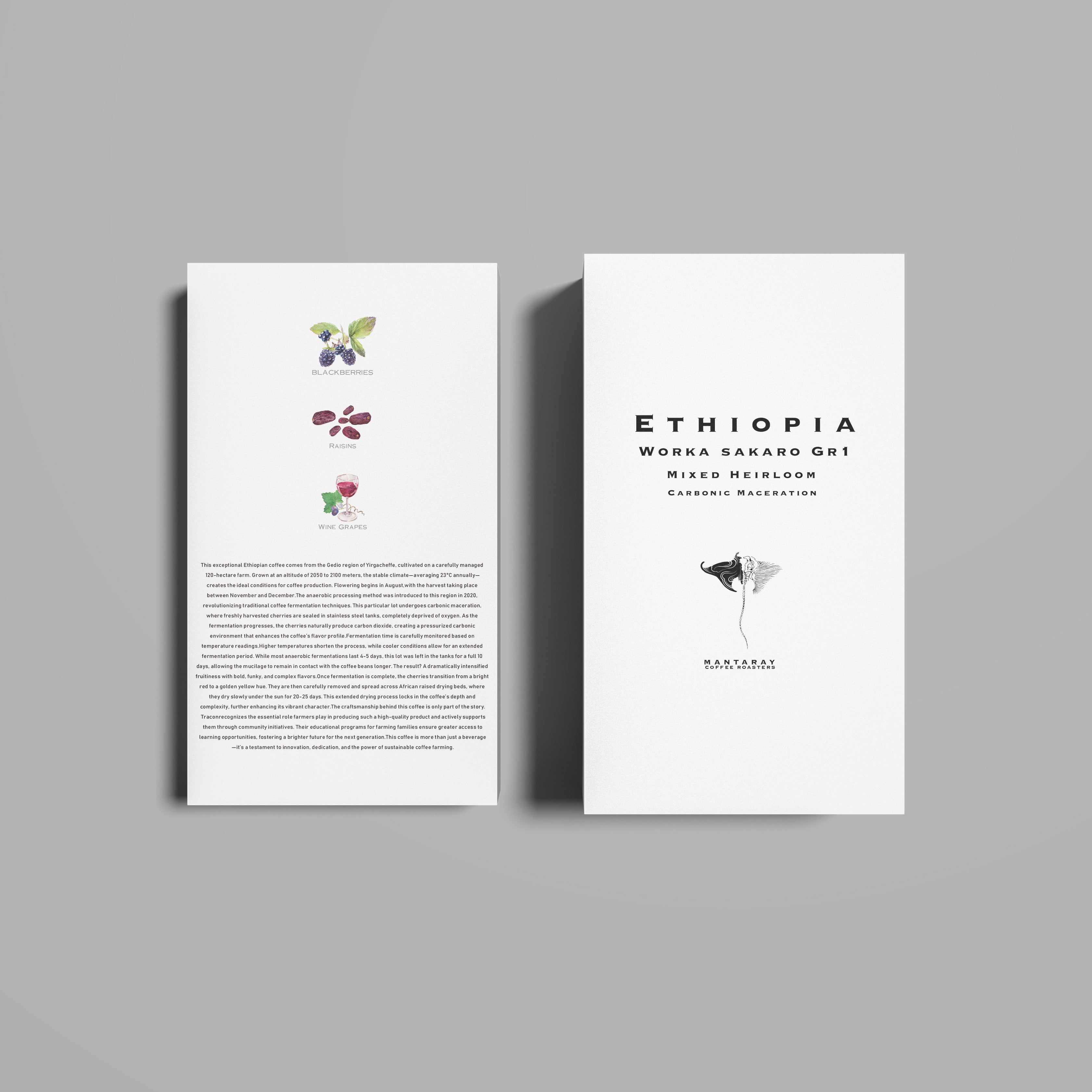 Ethiopia Worka Sakaro Gr 1 | Yirgacheffee Carbonic Maceration (Single Origin Filter) packshot