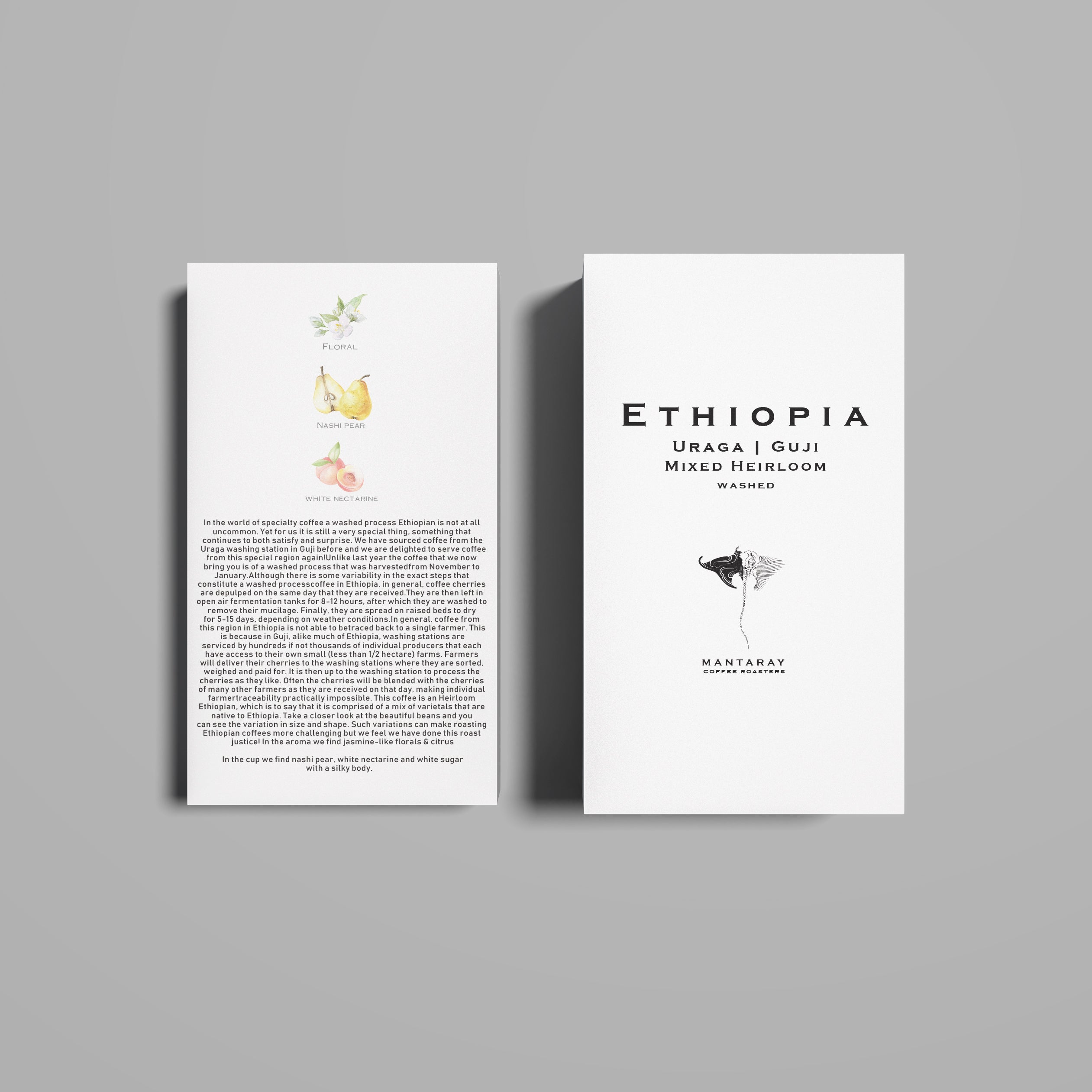 Ethiopia Uraga | Guji washed (Single Origin Filter) packshot