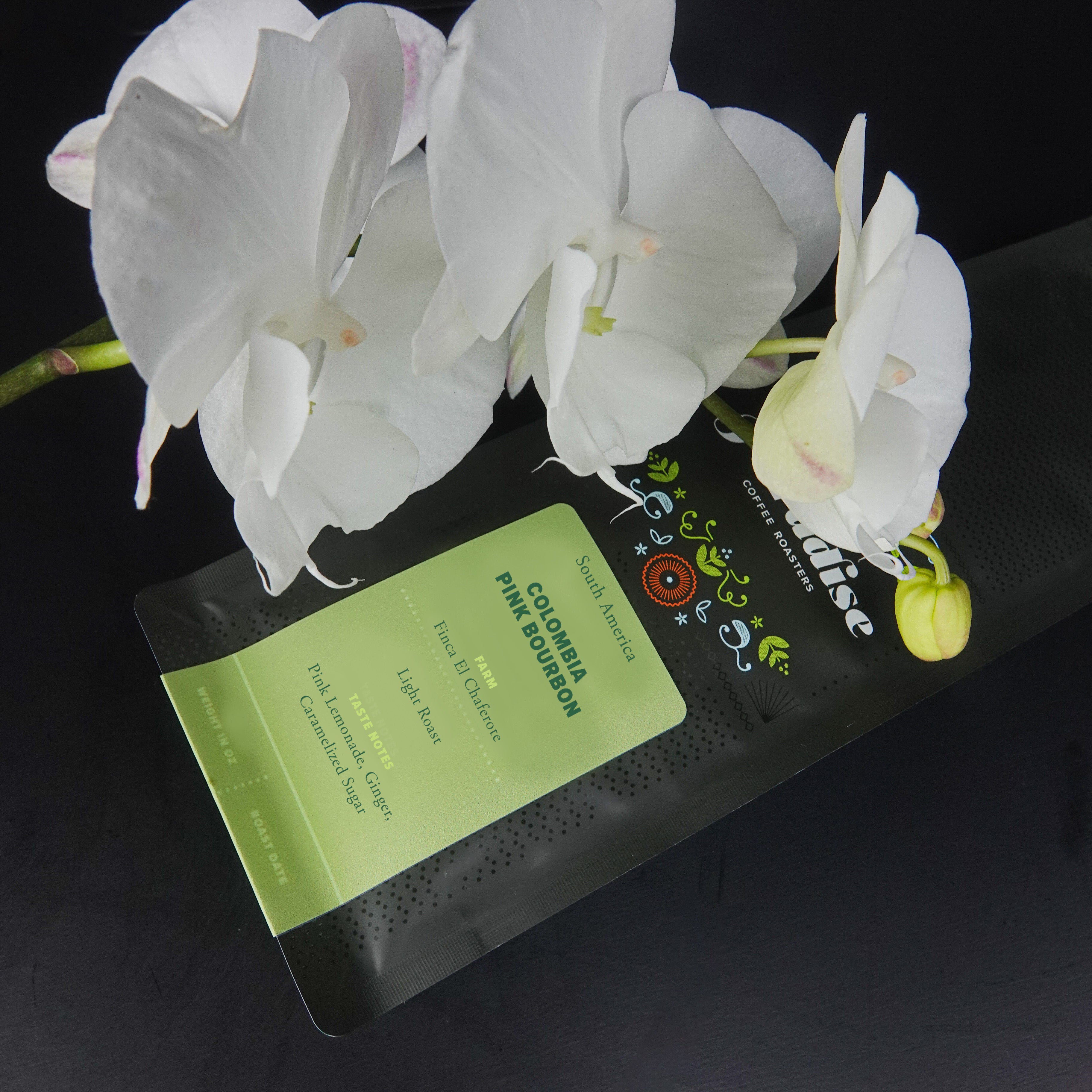 Colombia Pink Bourbon - Finca El Chaferote packshot