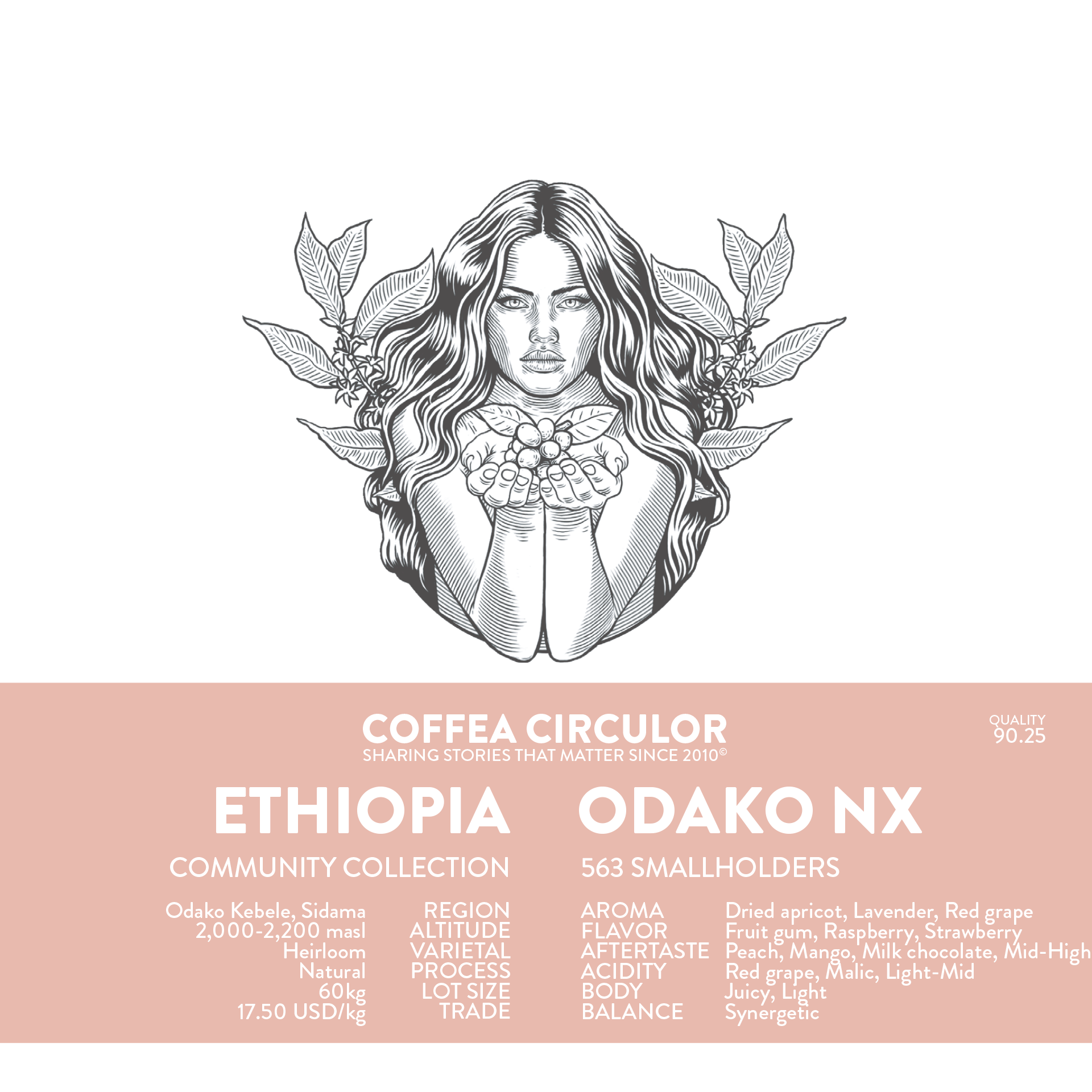 ETHIOPIA Odako Natural NX packshot