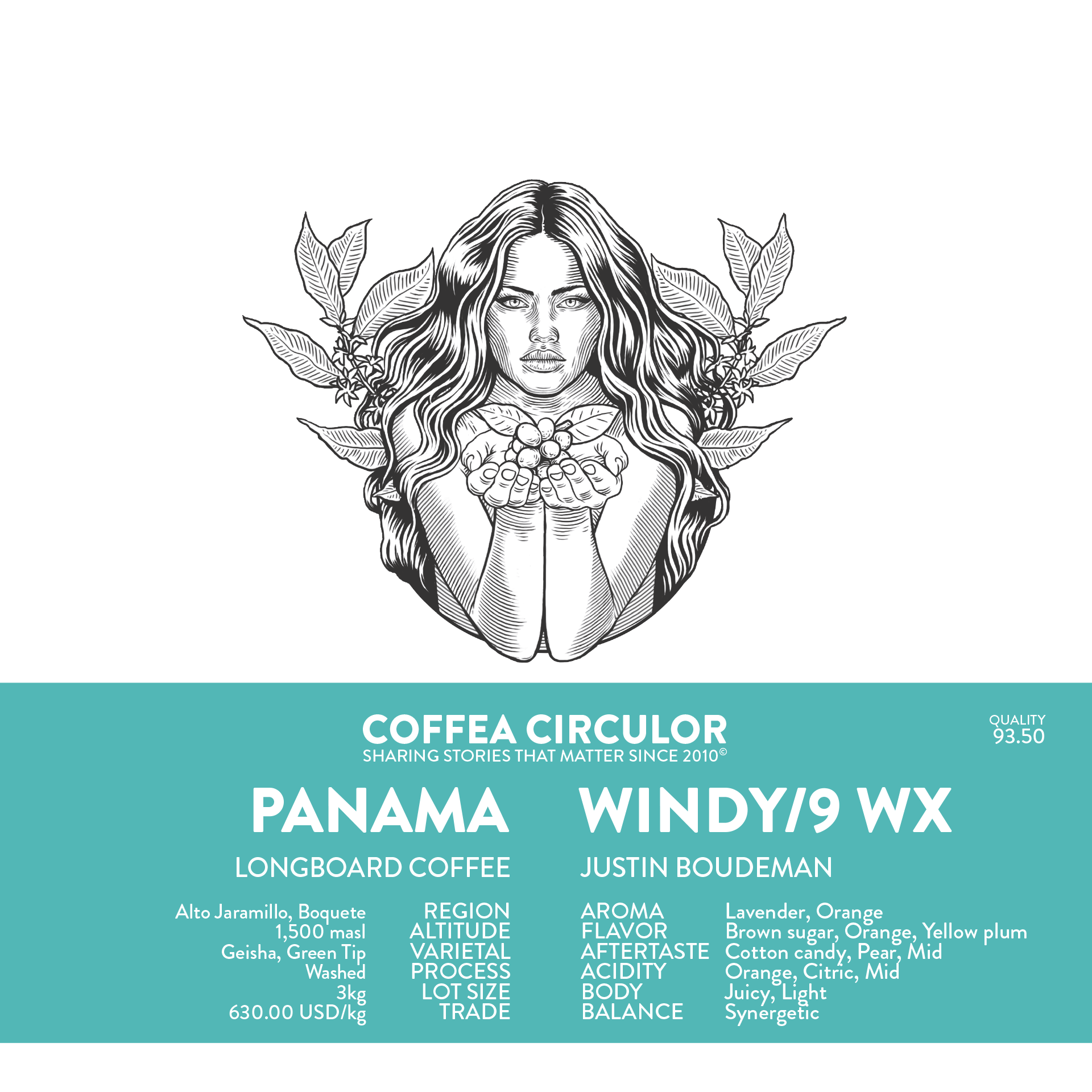 PANAMA Longboard Geisha Windy Ridge /9 Washed WX packshot