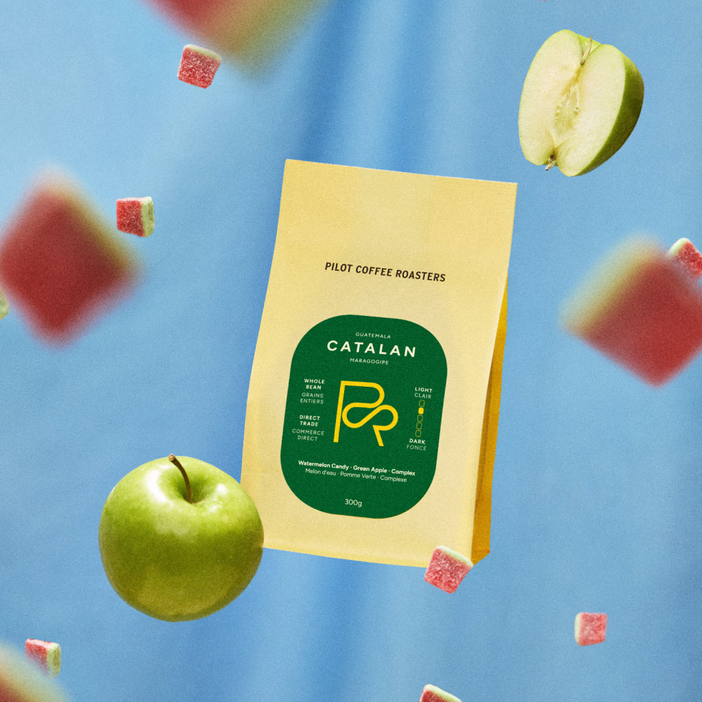 Catalan Maragogipe – Guatemala packshot