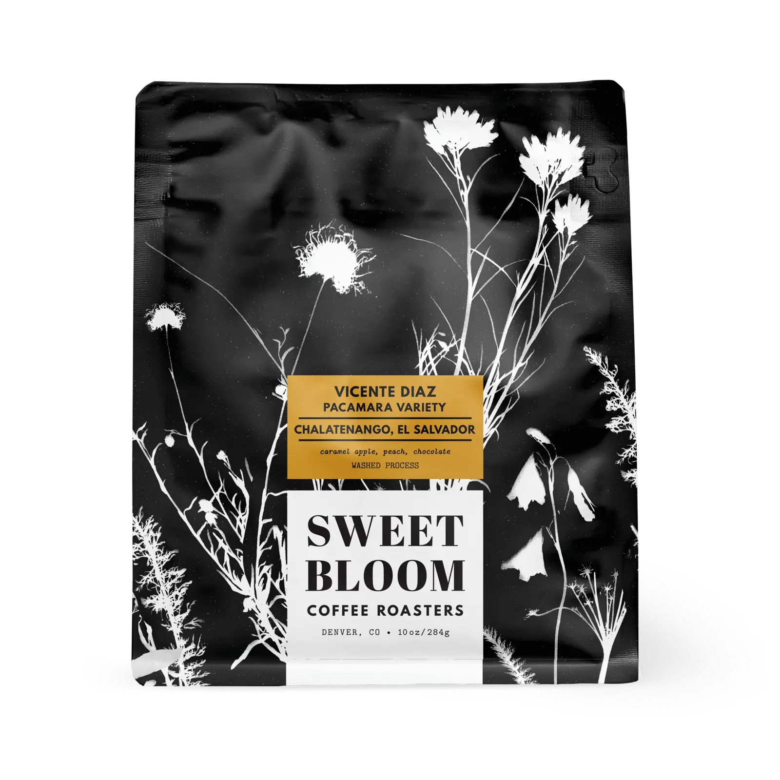 Vicente Diaz packshot