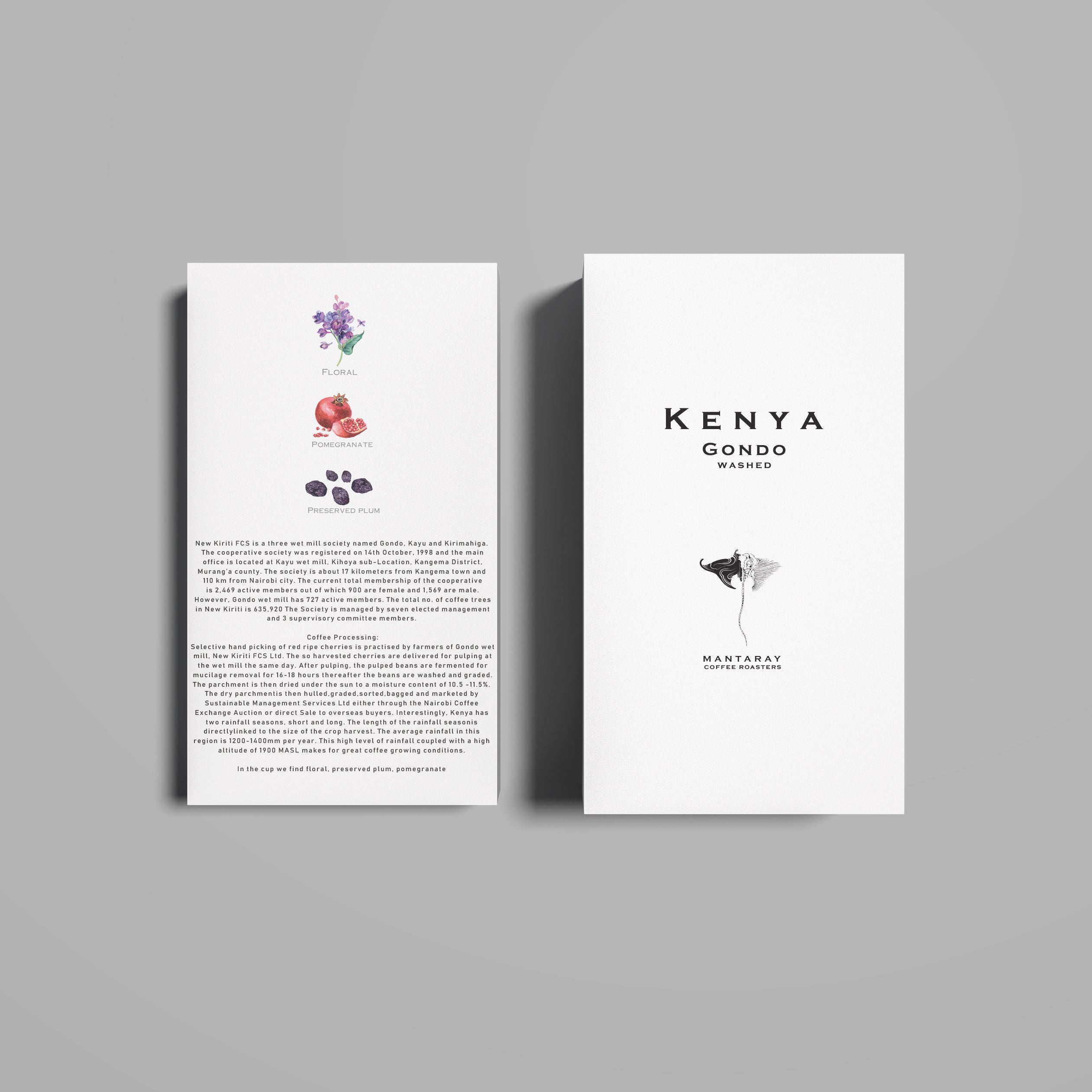 Kenya Gondo Washed - Espresso packshot