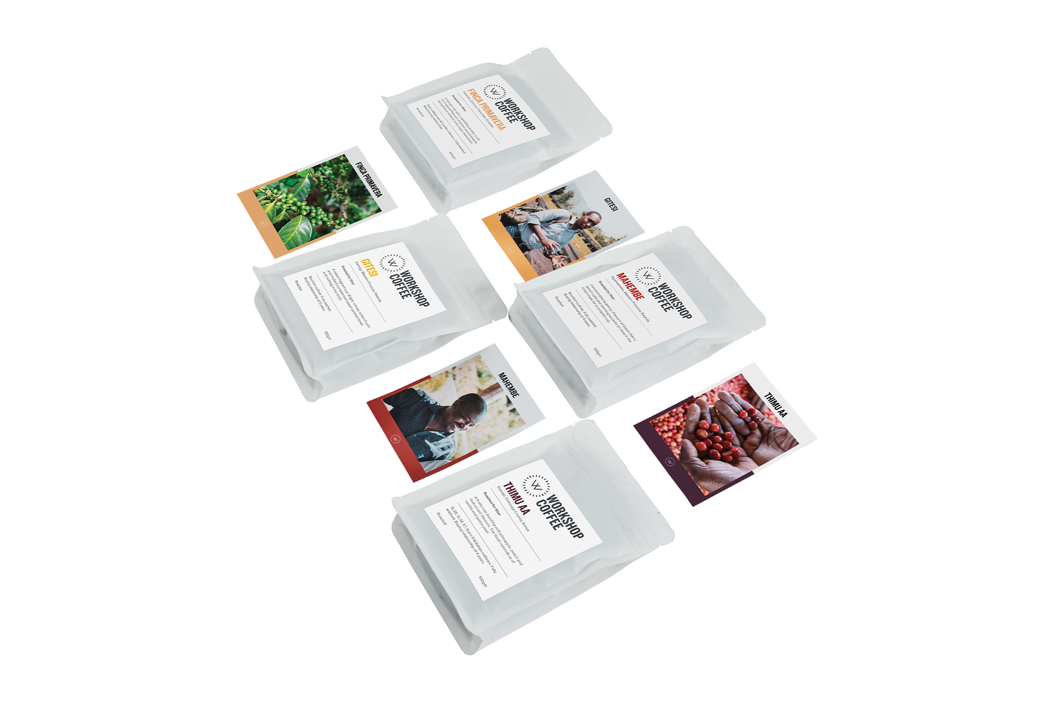 Filter Tasting Pack packshot